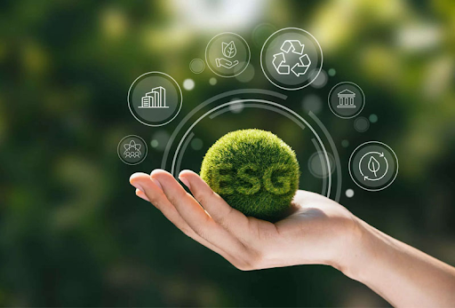ESG và bản sắc Việt: Khi “chất riêng” trở thành lợi thế bền vững