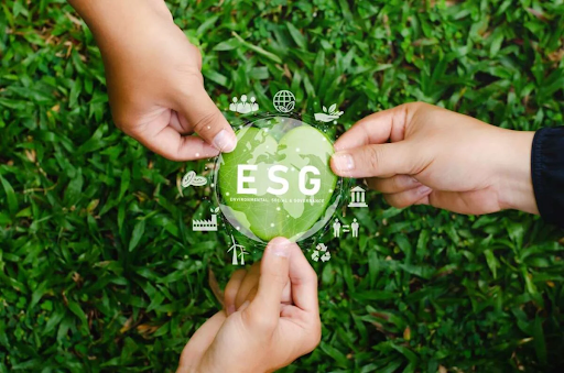 ESG và Đổi mới trong Doanh nghiệp: Vai trò của Lãnh đạo và Chuyển đổi Số trong Phát triển Bền vững